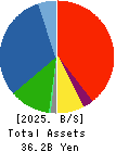 nms Holdings Corporation Balance Sheet 2025年Mar期 nms Holdings Corporation Balance Sheet 2025年3月期