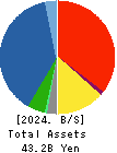 OLBA HEALTHCARE HOLDINGS, Inc. Balance Sheet 2024年Jun期 OLBA HEALTHCARE HOLDINGS, Inc. Balance Sheet 2024年6月期