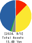 BP Castrol K.K. Balance Sheet 2024年12月期