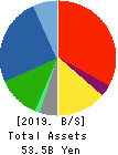 OCHI HOLDINGS CO.,LTD. Balance Sheet 2019年Mar期 OCHI HOLDINGS CO.,LTD. Balance Sheet 2019年3月期