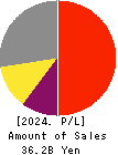 Gamecard-Joyco Holdings,Inc. Profit and Loss Account 2024年3月期