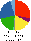 GMB CORPORATION Balance Sheet 2018年3月期