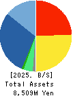 Trenders, Inc. Balance Sheet 2025年3月期