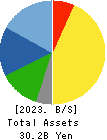 Dainichi Co.,Ltd. Balance Sheet 2023年Mar期 Dainichi Co.,Ltd. Balance Sheet 2023年3月期