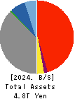 TOMONY Holdings,Inc. Balance Sheet 2024年Mar期 TOMONY Holdings,Inc. Balance Sheet 2024年3月期