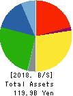 IJTT Co.,Ltd. Balance Sheet 2018年Mar期 IJTT Co.,Ltd. Balance Sheet 2018年3月期