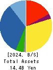 SE Holdings and Incubations Co.,Ltd. Balance Sheet 2024年Mar期 SE Holdings and Incubations Co.,Ltd. Balance Sheet 2024年3月期