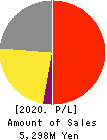 CELM,Inc. Profit and Loss Account 2020年Mar期 CELM,Inc. Profit and Loss Account 2020年3月期