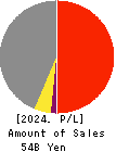 SAINT-CARE HOLDING CORPORATION Profit and Loss Account 2024年Mar期 SAINT-CARE HOLDING CORPORATION Profit and Loss Account 2024年3月期