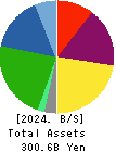 BELLUNA CO.,LTD. Balance Sheet 2024年Mar期 BELLUNA CO.,LTD. Balance Sheet 2024年3月期