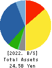 YAMAURA CORPORATION Balance Sheet 2022年3月期