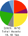 TOIN CORPORATION Balance Sheet 2023年3月期