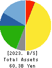 SOFT99corporation Balance Sheet 2023年Mar期 SOFT99corporation Balance Sheet 2023年3月期