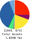 TCB Holdings Corporation Balance Sheet 2009年3月期