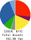 ALCONIX CORPORATION Balance Sheet 2024年3月期