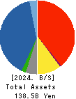 OHKI HEALTHCARE HOLDINGS CO.,LTD. Balance Sheet 2024年Mar期 OHKI HEALTHCARE HOLDINGS CO.,LTD. Balance Sheet 2024年3月期