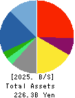 Digital Garage, Inc. Balance Sheet 2025年Mar期 Digital Garage, Inc. Balance Sheet 2025年3月期