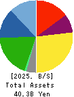 BIKEN TECHNO CORPORATION Balance Sheet 2025年Mar期 BIKEN TECHNO CORPORATION Balance Sheet 2025年3月期