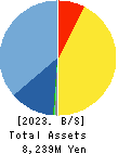 Soiken Holdings Inc. Balance Sheet 2023年6月期