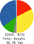 GEOSTR Corporation Balance Sheet 2025年Mar期 GEOSTR Corporation Balance Sheet 2025年3月期