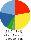 MITANI CORPORATION Balance Sheet 2025年3月期