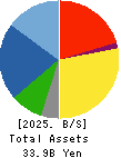 KIMURA CHEMICAL PLANTS CO.,LTD. Balance Sheet 2025年Mar期 KIMURA CHEMICAL PLANTS CO.,LTD. Balance Sheet 2025年3月期