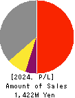 AI storm Co., Ltd. Profit and Loss Account 2024年Dec期 AI storm Co., Ltd. Profit and Loss Account 2024年12月期