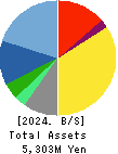Fabrica Holdings Co., Ltd. Balance Sheet 2024年Mar期 Fabrica Holdings Co., Ltd. Balance Sheet 2024年3月期