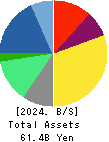 LOOK HOLDINGS INCORPORATED Balance Sheet 2024年Dec期 LOOK HOLDINGS INCORPORATED Balance Sheet 2024年12月期