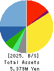 Fabrica Holdings Co., Ltd. Balance Sheet 2025年Mar期 Fabrica Holdings Co., Ltd. Balance Sheet 2025年3月期