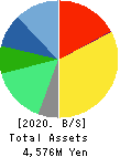 System D Inc. Balance Sheet 2020年Oct期 System D Inc. Balance Sheet 2020年10月期