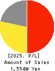 True Data Inc. Profit and Loss Account 2025年3月期
