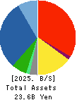 Oi Electric Co.,Ltd. Balance Sheet 2025年Mar期 Oi Electric Co.,Ltd. Balance Sheet 2025年3月期