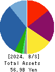 B-Lot Company Limited Balance Sheet 2024年Dec期 B-Lot Company Limited Balance Sheet 2024年12月期
