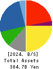 OKUMURA CORPORATION Balance Sheet 2024年Mar期 OKUMURA CORPORATION Balance Sheet 2024年3月期