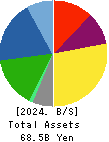 FRANCE BED HOLDINGS CO.,LTD. Balance Sheet 2024年Mar期 FRANCE BED HOLDINGS CO.,LTD. Balance Sheet 2024年3月期