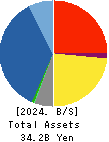 ART VIVANT CO.,LTD. Balance Sheet 2024年Mar期 ART VIVANT CO.,LTD. Balance Sheet 2024年3月期