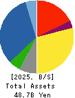 Chugai Ro Co.,Ltd. Balance Sheet 2025年Mar期 Chugai Ro Co.,Ltd. Balance Sheet 2025年3月期