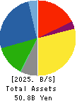 TOKYO PRINTING INK MFG.CO.,LTD. Balance Sheet 2025年Mar期 TOKYO PRINTING INK MFG.CO.,LTD. Balance Sheet 2025年3月期
