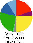 Kanda Holdings Co.,Ltd. Balance Sheet 2024年3月期