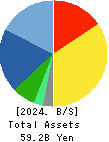 DAIKOKU DENKI CO.,LTD. Balance Sheet 2024年3月期