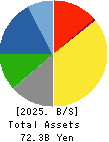 NICHIA STEEL WORKS, LTD. Balance Sheet 2025年Mar期 NICHIA STEEL WORKS, LTD. Balance Sheet 2025年3月期