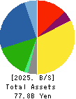 VALQUA, LTD. Balance Sheet 2025年3月期