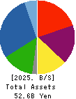 INTELLEX Co.,Ltd. Balance Sheet 2025年May期 INTELLEX Co.,Ltd. Balance Sheet 2025年5月期