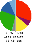 SANIX HOLDINGS INCORPORATED Balance Sheet 2025年Mar期 SANIX HOLDINGS INCORPORATED Balance Sheet 2025年3月期