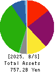 Sotetsu Holdings, Inc. Balance Sheet 2025年Mar期 Sotetsu Holdings, Inc. Balance Sheet 2025年3月期