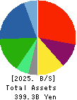 YAMAE GROUP HOLDINGS CO.,LTD. Balance Sheet 2025年Mar期 YAMAE GROUP HOLDINGS CO.,LTD. Balance Sheet 2025年3月期