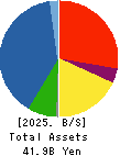 Br. Holdings Corporation Balance Sheet 2025年Mar期 Br. Holdings Corporation Balance Sheet 2025年3月期