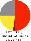 B-R 31 Profit and Loss Account 2023年12月期