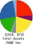 Nippon Light Metal Holdings Company,Ltd. Balance Sheet 2024年Mar期 Nippon Light Metal Holdings Company,Ltd. Balance Sheet 2024年3月期
